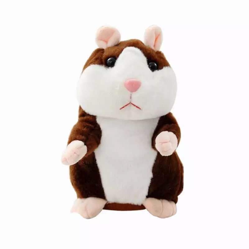 Hamster Falante - HamHam™ - Loja Compra Ok